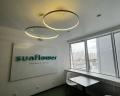 Sunflower Vnukovo: отзыв от Zhizel I
