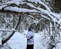 На семи холмах: отзыв от Анна Парфенова