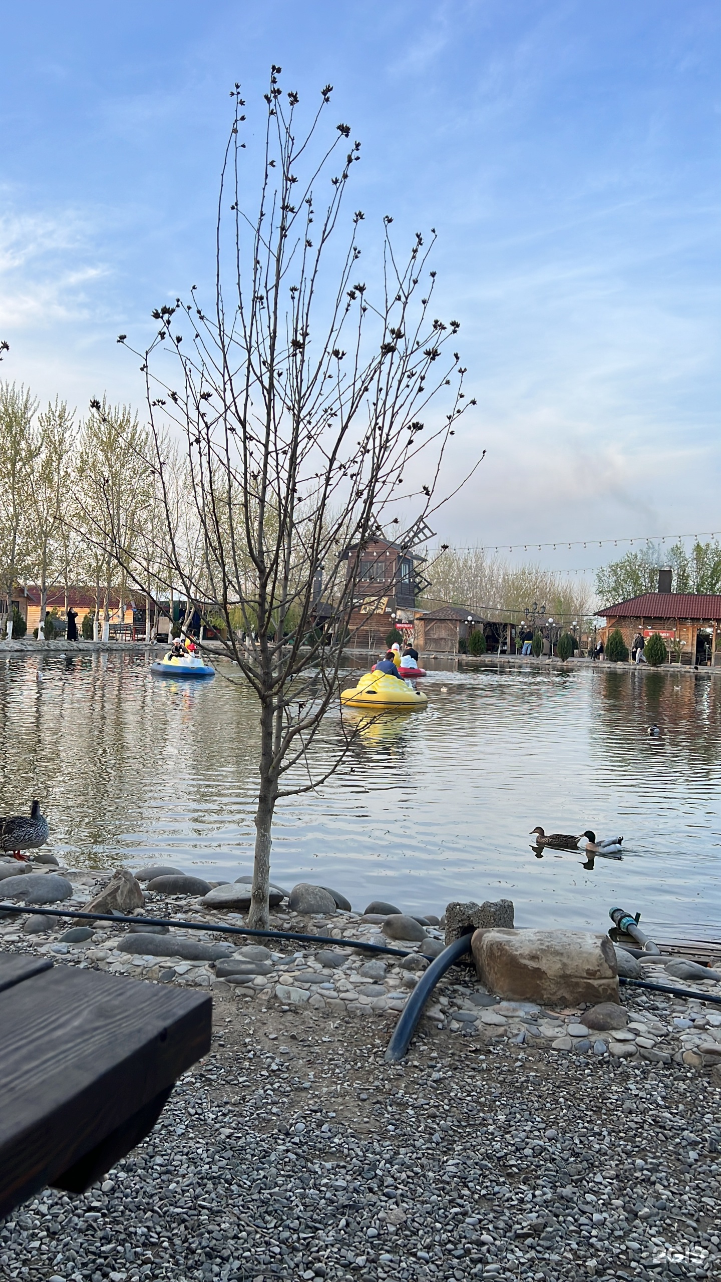 Din park, Кумторкалинский район, Кумторкалинский район — 2ГИС