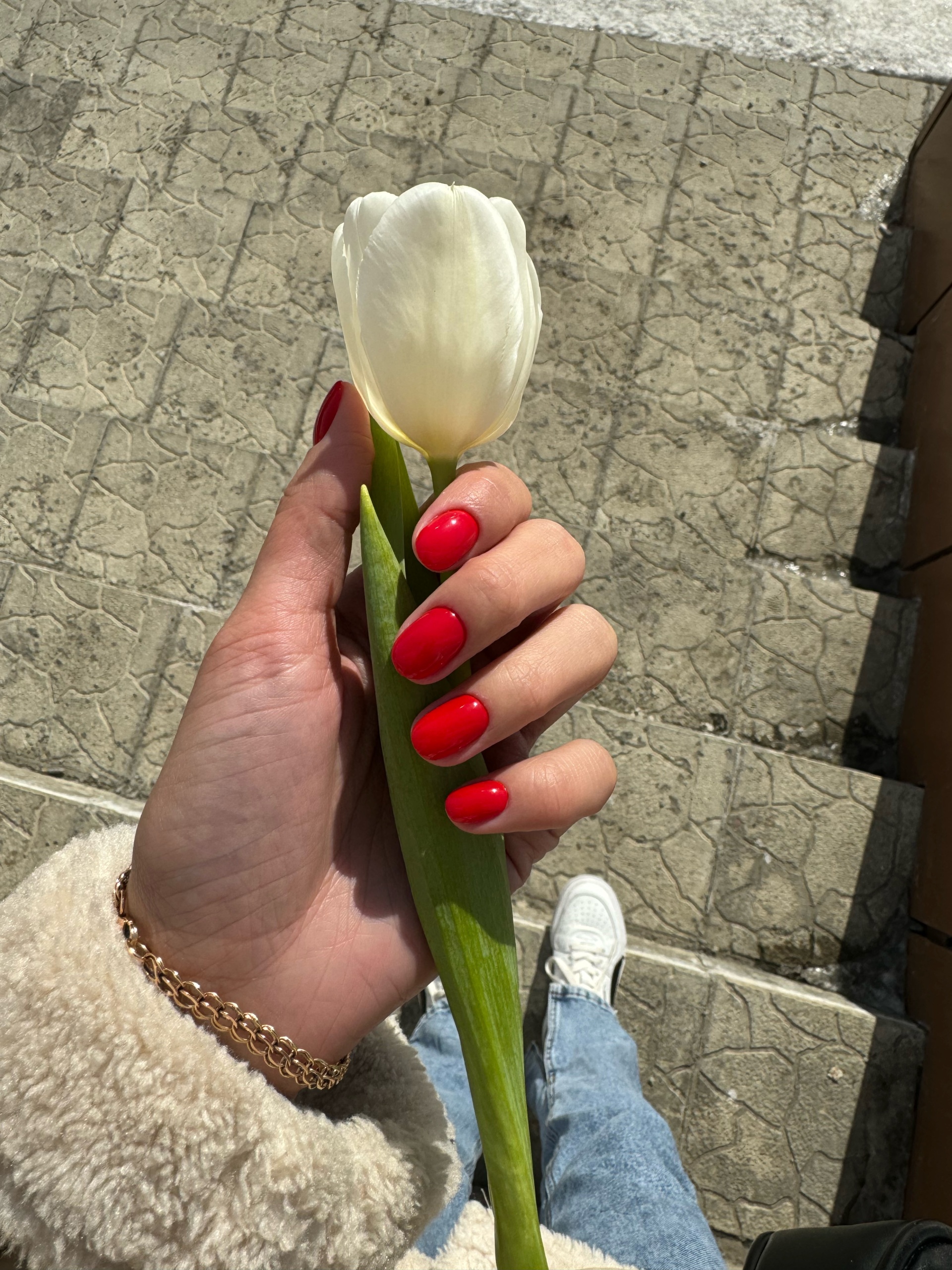 Cult nails, ЖК 8 Марта, улица 8 Марта, 31 к2, Пенза — 2ГИС