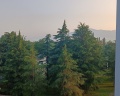 Киараз Арена: отзыв от Анатолий Пономарев