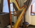 Magic harp: отзыв от Анна Кочкарева