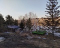 Шышки: отзыв от Елена С