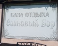 Сосновый бор: отзыв от Надежда Колесова