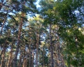 Nature village: отзыв от Ksenia Sh