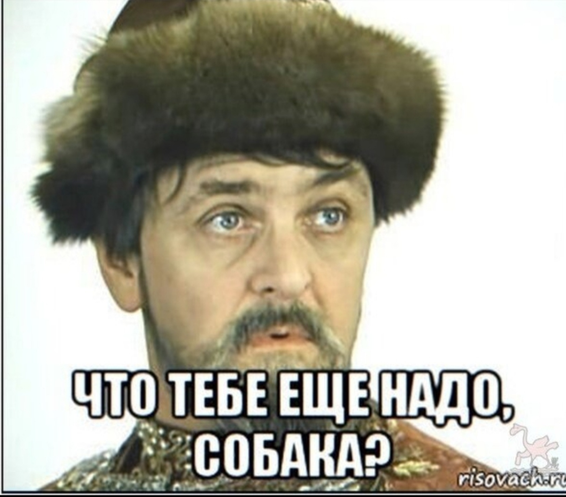 Медико-санитарная часть МВД РФ по Ивановской области, военно-врачебная  комиссия, Тёмный переулок, 40, Иваново — 2ГИС