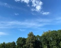 Воскресенский Новоиерусалимский монастырь: отзыв от Ксения Созина