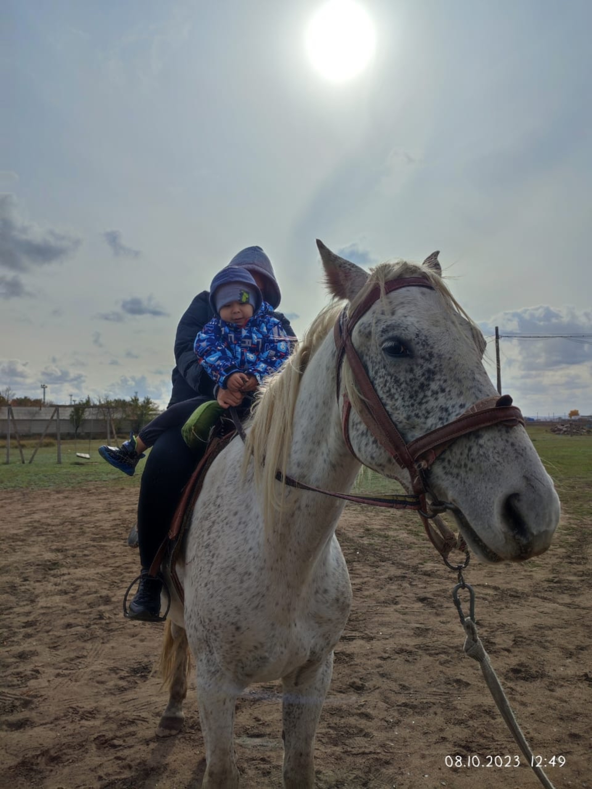 Кішкентай әпкесі бар порно