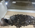 Монетный двор: отзыв от Оксана Романова