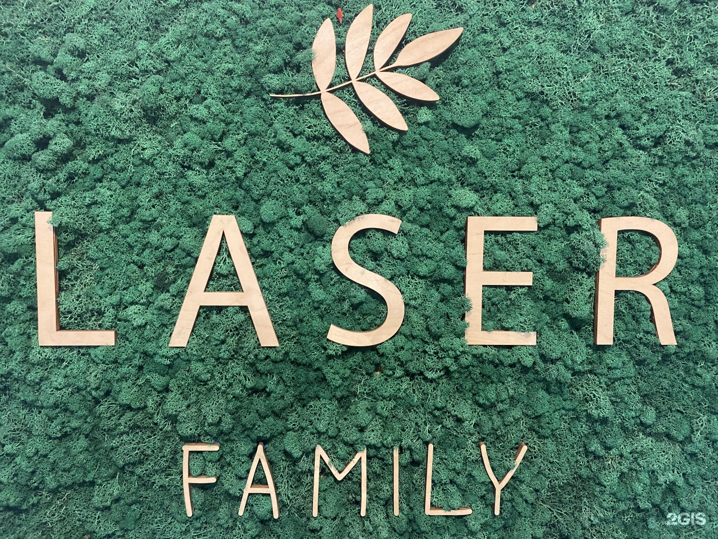 Laser Family, студия эпиляции, проспект Ленина, 50, Ярославль — 2ГИС