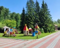 Шишка: отзыв от Вячеслав Ананьев