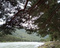 108 желаний на Алтае: отзыв от Юлия Прокопчук
