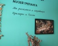 Музей трепанга: отзыв от Владислава Михайленко