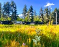 Lafa Glamp: отзыв от K R