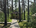 Сны Леса: отзыв от Светлана Якимова