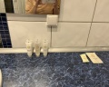 Марсово Поле: отзыв от Мария Ф