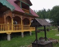 Лебедь: отзыв от Алексей Косов