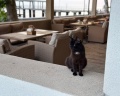 Garden Resort: отзыв от Денис Г.