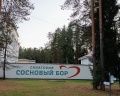 Сосновый бор: отзыв от Музыка Ветра