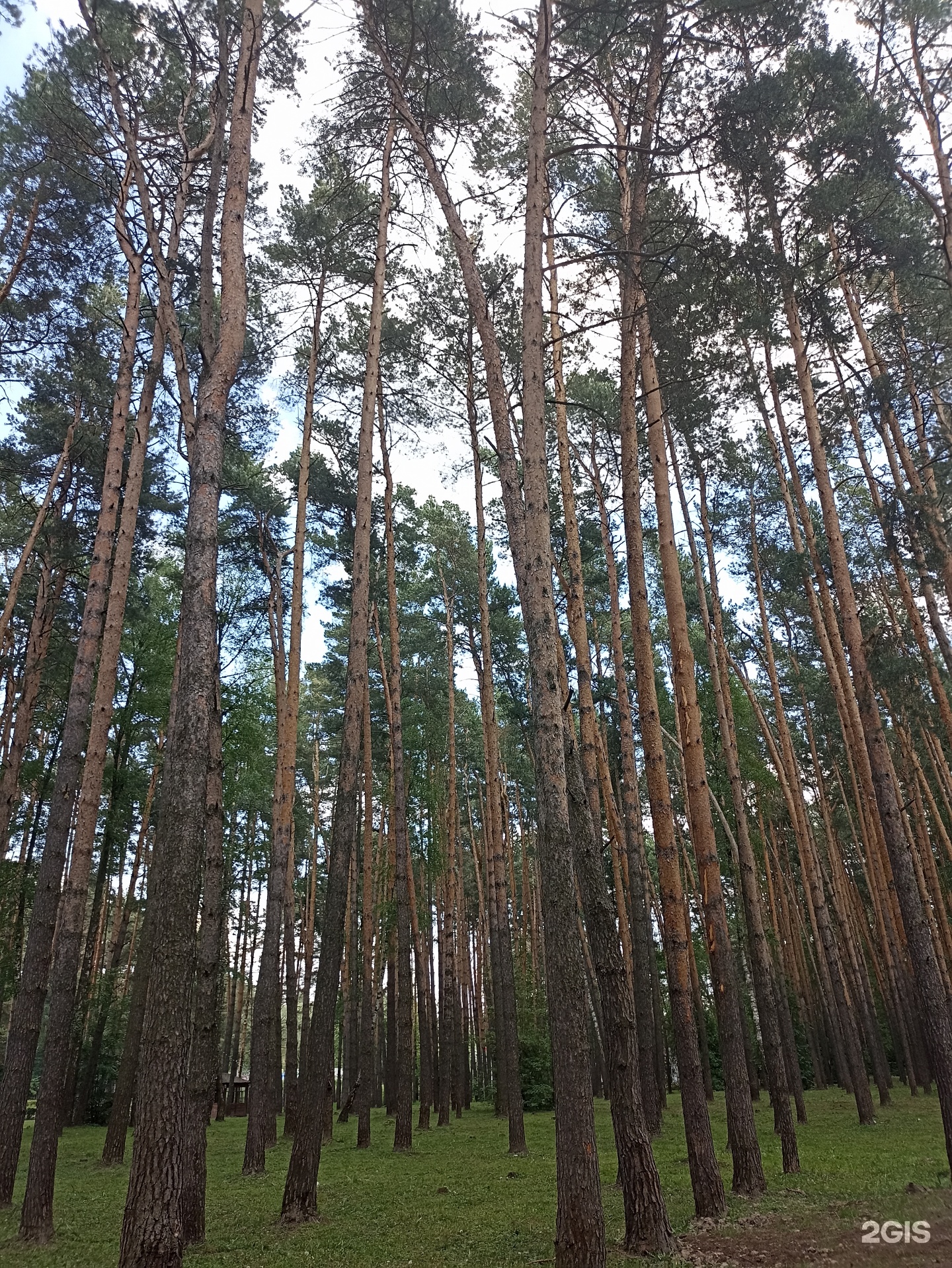 Ёлочки, городской парк культуры и отдыха, Домодедово, Домодедово — 2ГИС