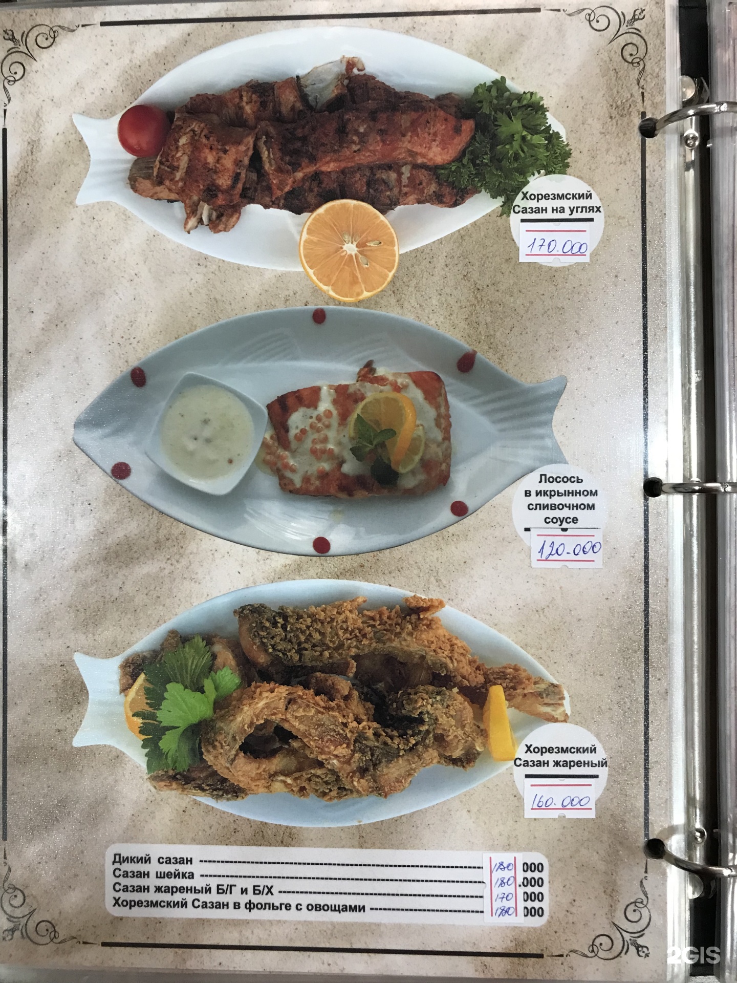 Скротумы бар қос белдіксіз бау