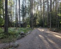 Репинские дачи: отзыв от Татьяна Яковлева