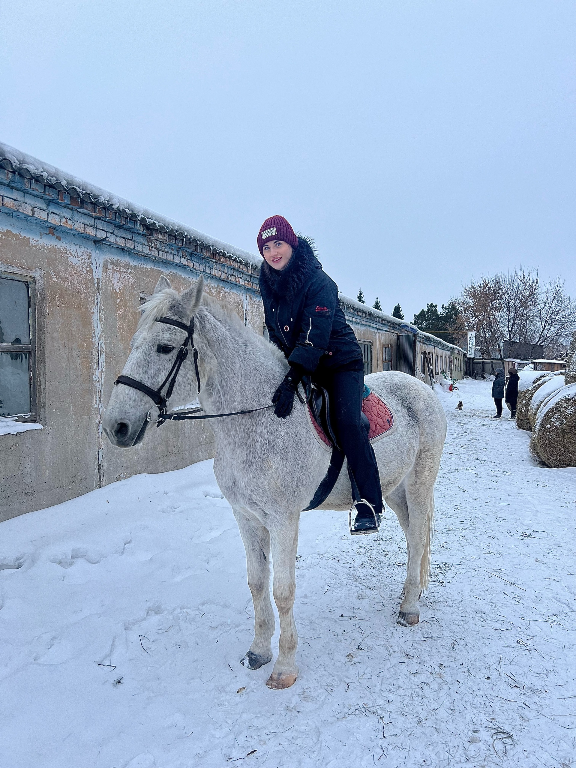 Радовесть, конно-спортивный клуб, Енисейская улица, 1/9, Омск — 2ГИС