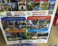 Молодой: отзыв от Артём Исаев