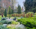 Романов Лес: отзыв от Анастасия Чернова