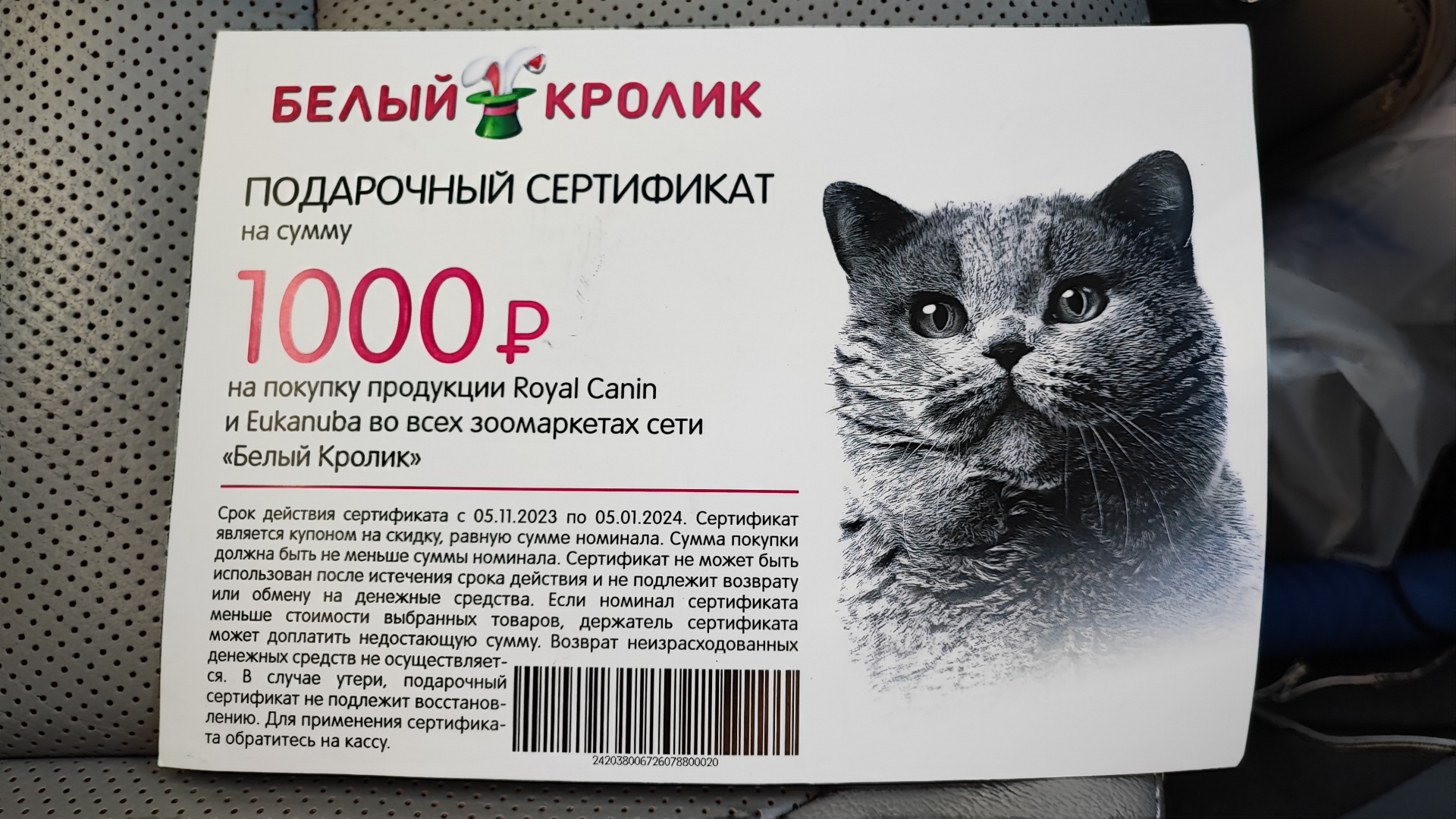 Белый кролик, зоомаркет, проспект 100-летия Владивостока, 32в, Владивосток  — 2ГИС