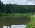 Лесная сказка: отзыв от Ольга