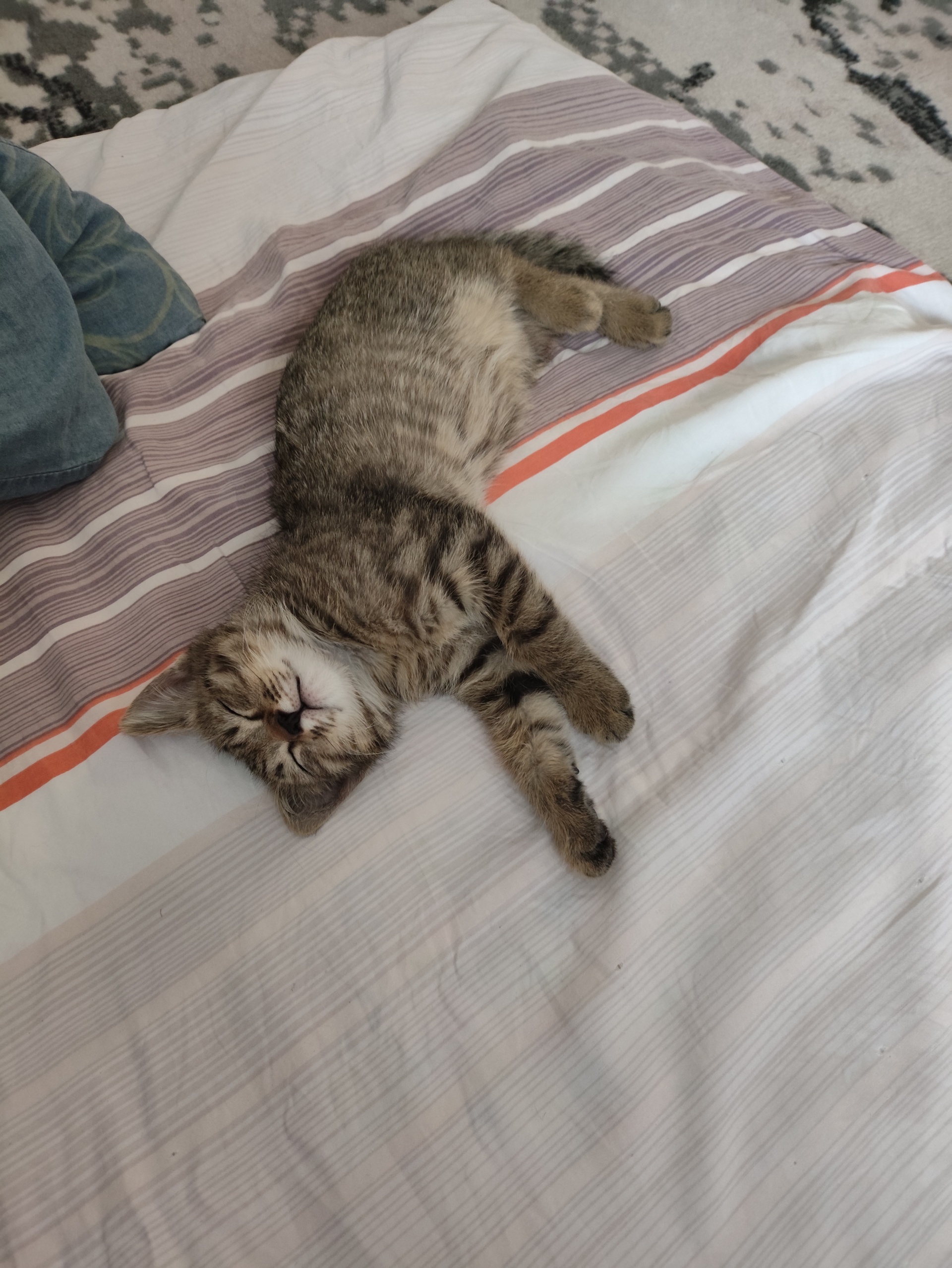 Әзірбайжанмен порно секс Грек әйелдері ххх