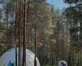 New Camp: отзыв от Александра Калинина