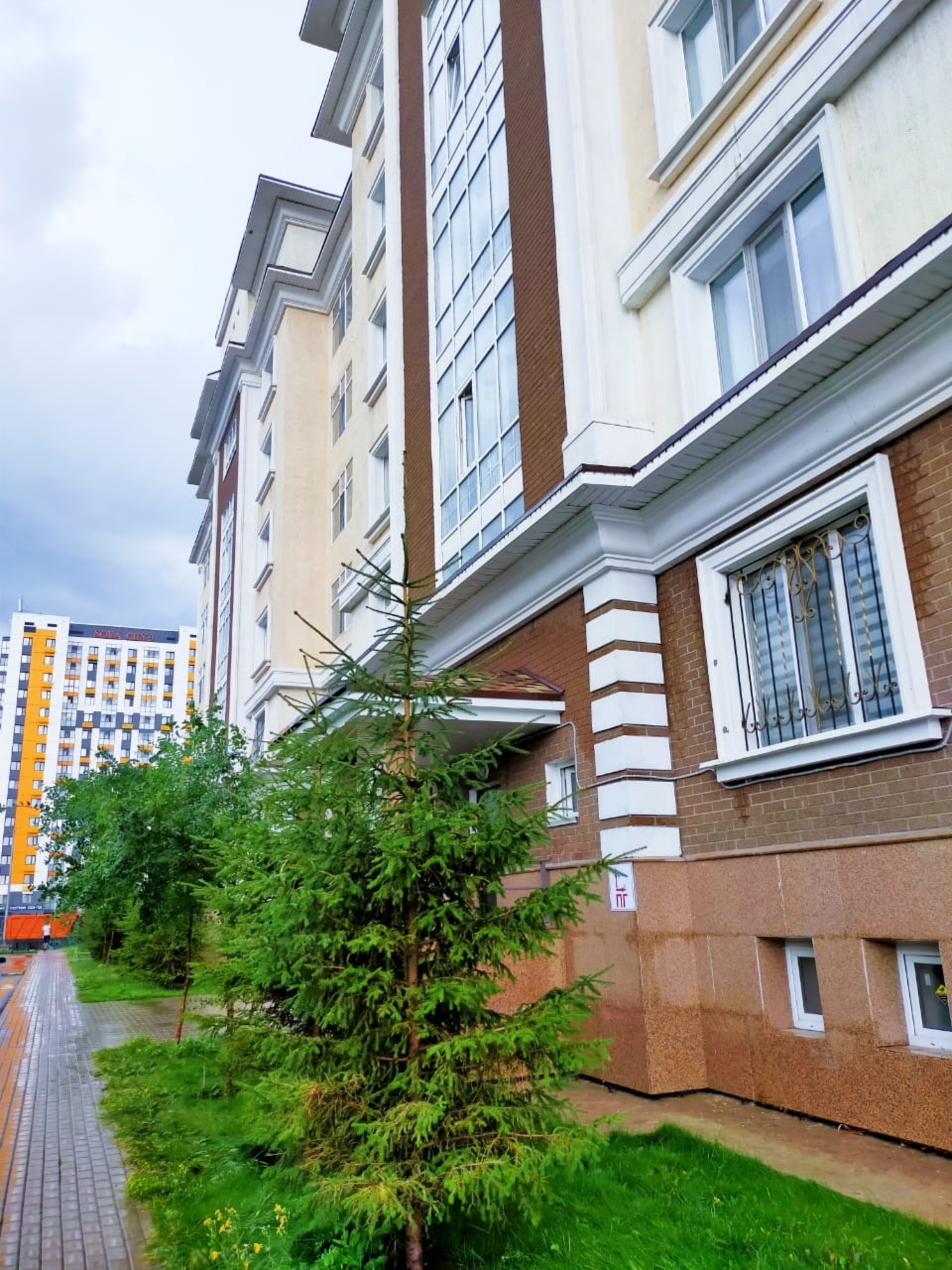 Қарап тұрған Том бейне