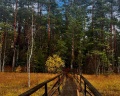 Greenvald парк Скандинавия: отзыв от Василиса @Vasi.Liska__