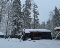Skywood: отзыв от Mira ~