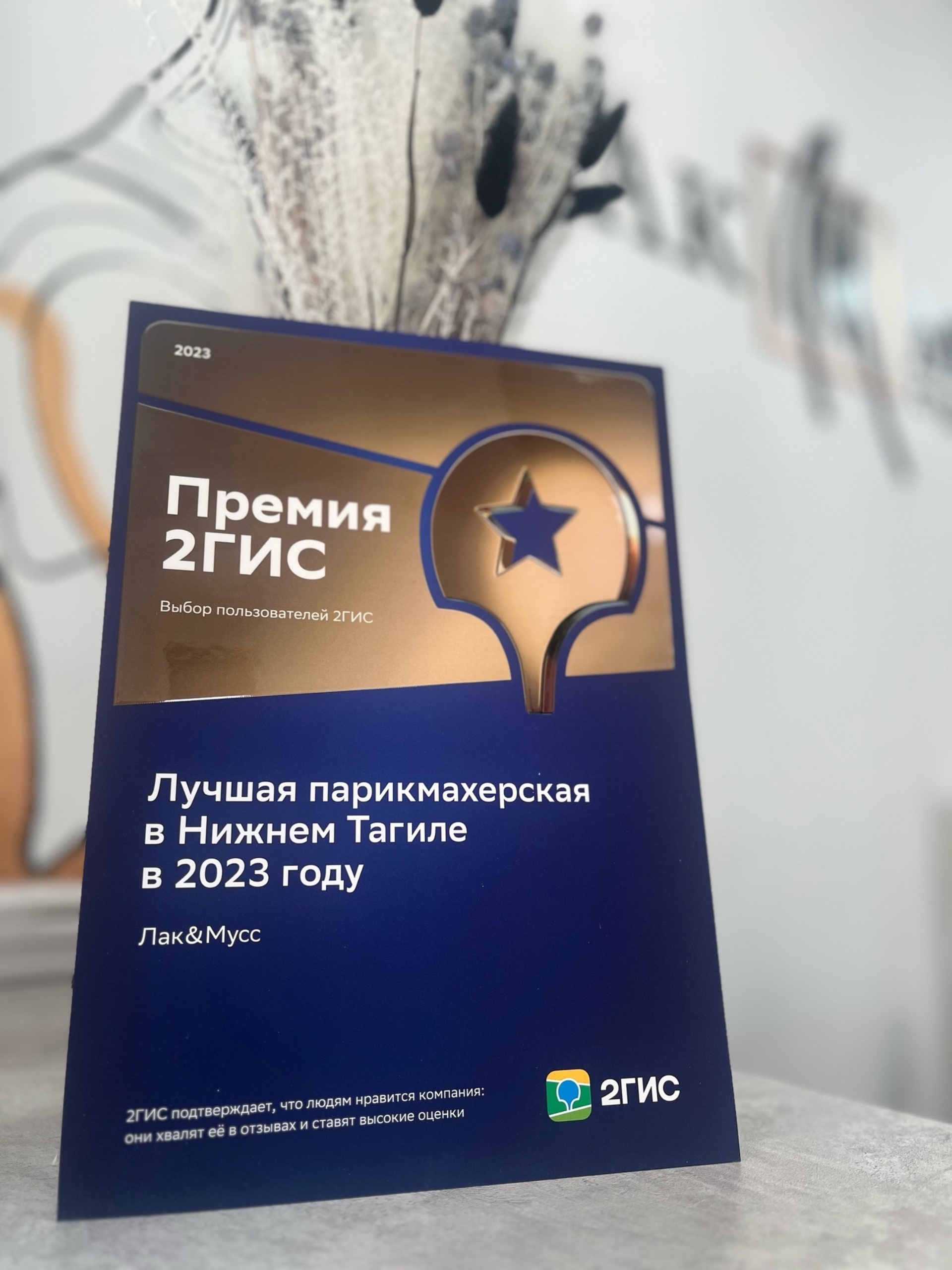 2ГИС, городской информационный сервис, Ломоносова, 2а, Нижний Тагил