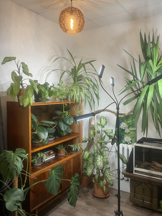 Есі жоқ қыздармен жыныстық қатынас видеосы