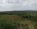Ромашка: отзыв от Екатерина Морозова (^-^)