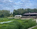 JustWood hotel: отзыв от Юрий Серегин