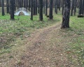 PARUS medical resort & SPA: отзыв от Darya Shvetsova