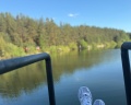 Карельская: отзыв от Карина Рыжкова
