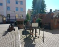 365 СПб: отзыв от Максим Бакланов