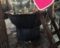 Лес: отзыв от Айгуль Ширшева