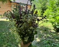 Зелёные Холмы: отзыв от Куба Н