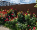 Holiday House: отзыв от Ирина Батрунова