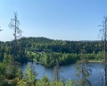 Котопельто: отзыв от Анастасия Ильина
