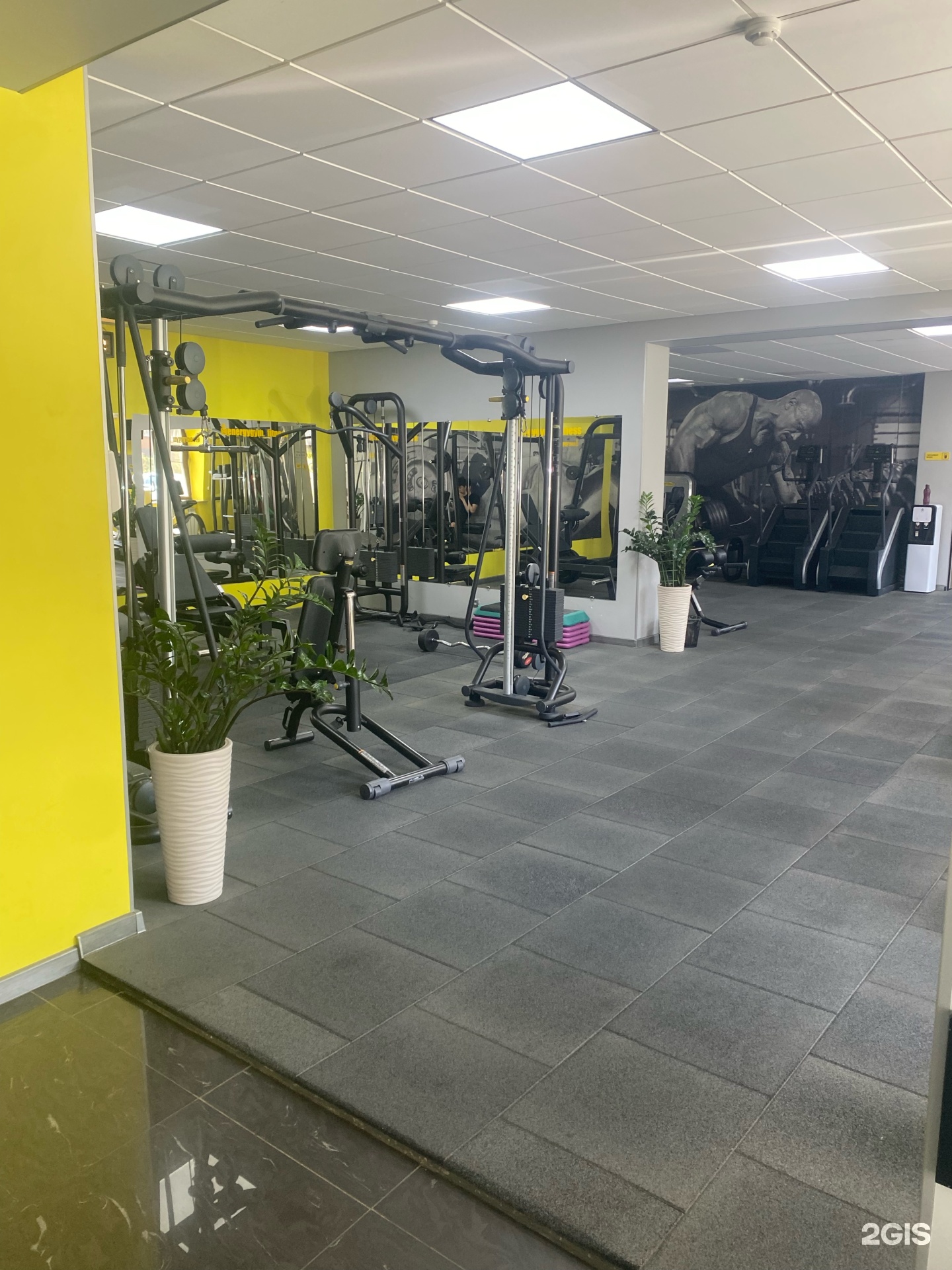 Порно және жопа