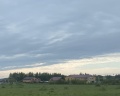Аист: отзыв от Елизавета Морозова
