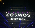 Cosmos Selection Moscow Sheremetyevo Airport Hotel: отзыв от Алексей Ю.